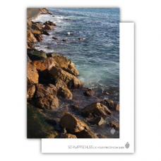 Postcard | Surf